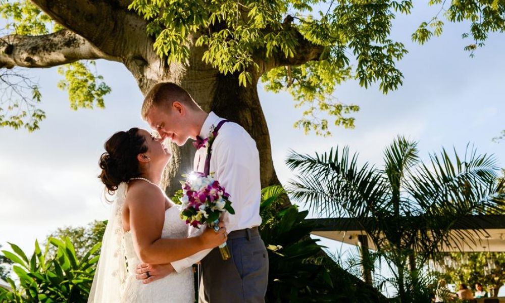 The image shows a happy couple under a big tree dressed for their wedding. The bride holds a bouquet while gazing at the groom, surrounded by vibrant tropical plants, creating a joyful atmosphere perfect for a wedding celebration.