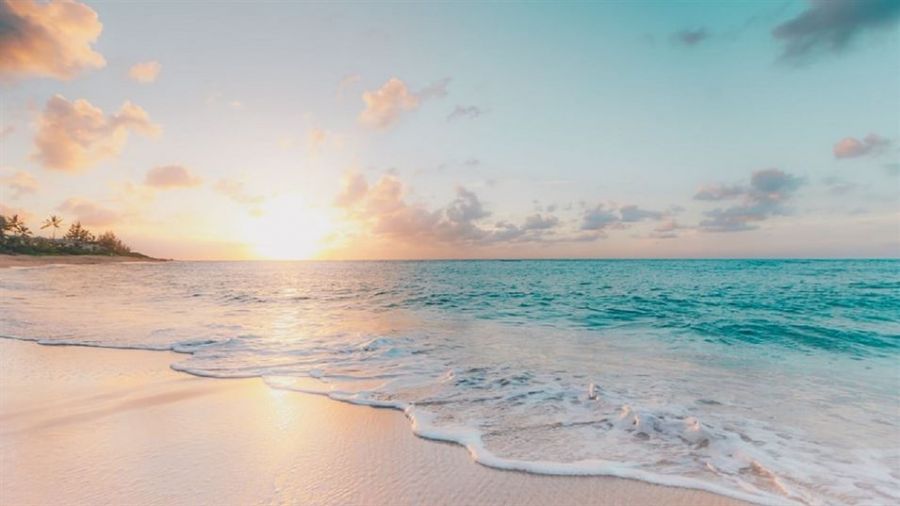 A serene beach scene during sunset showing gentle waves lapping against soft golden sands. The sun casts a warm glow on the horizon while fluffy clouds reflect shades of pink and orange across the sky. Distant palm trees are silhouetted against this picturesque coastal landscape, creating an idyllic atmosphere perfect for couples dreaming of a romantic wedding setting by the sea.