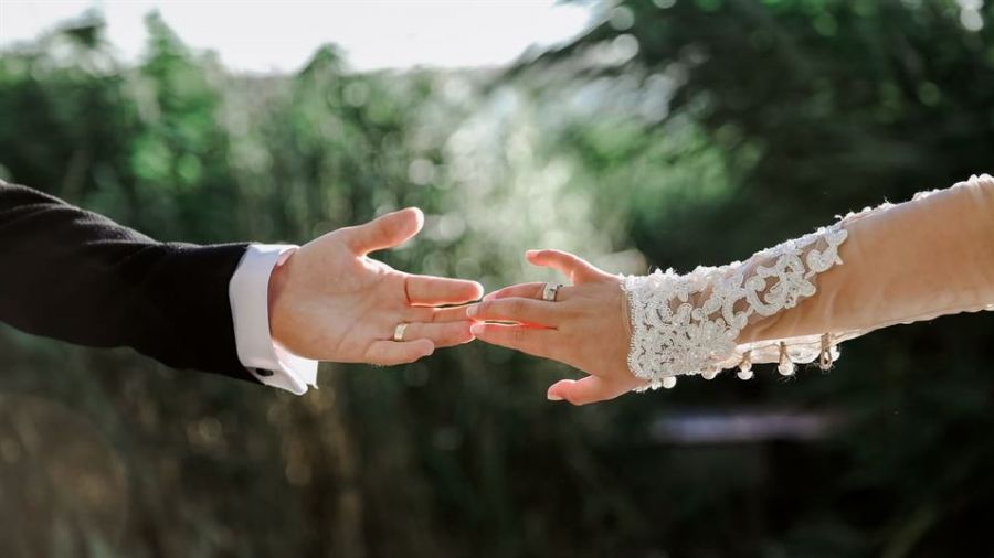 A close-up image of two hands reaching out towards each other against a blurred green background. One hand is dressed in a black suit while the other features an elegant lace sleeve. Both hands wear wedding rings, representing love and commitment.